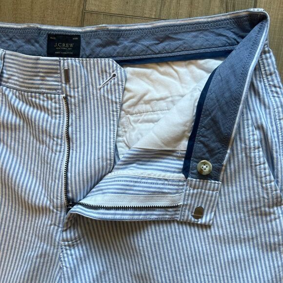 J. Crew shorts | Baby Blue Pinstripes | 33” waist 10.5” inseam - Picture 2 of 6
